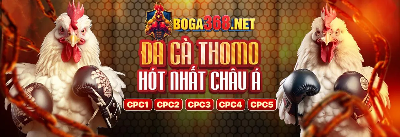 Hình ảnh chính về cá cược có trách nhiệm tại 8kbet456