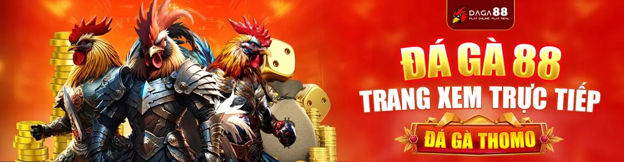 Đá gà trực tuyến 8kbet456 - Sân đấu kịch tính