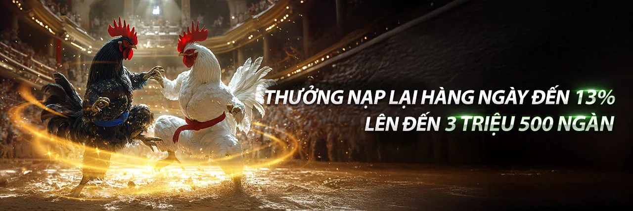 Cá Cược Thể Thao 8kbet456